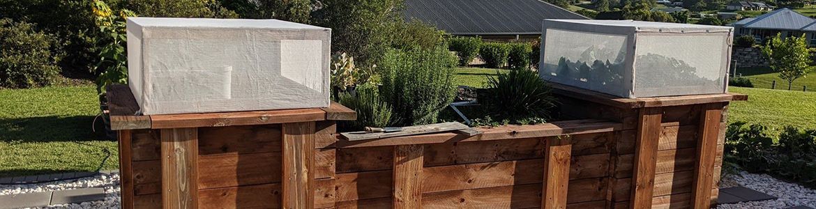 TallMan.jpeg TallMan.jpeg