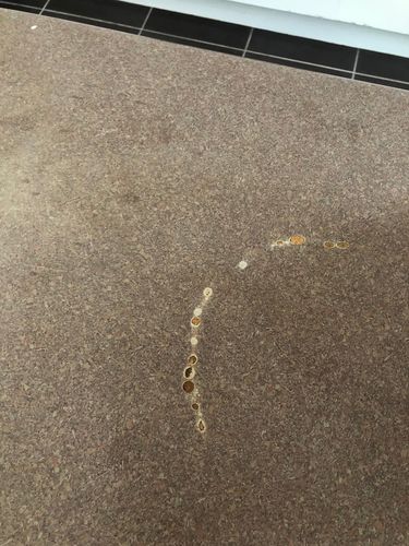 41FF413F-6F7F-4E03-8A86-330A6133F447.jpeg 41FF413F-6F7F-4E03-8A86-330A6133F447.jpeg