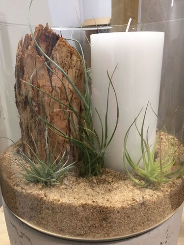 C1BD689E-3E68-4FBA-949E-5B2658A9E864.jpeg C1BD689E-3E68-4FBA-949E-5B2658A9E864.jpeg