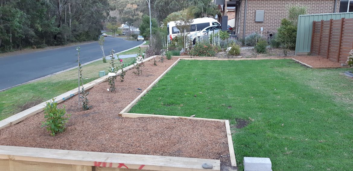 Garden bed.jpg Garden bed.jpg