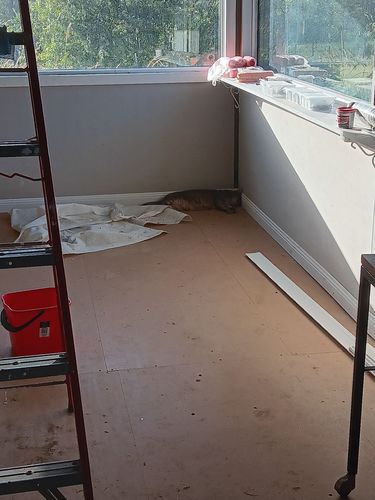 1000008128.jpg 1000008128.jpg