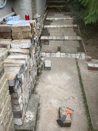 IMG_6784.jpeg IMG_6784.jpeg