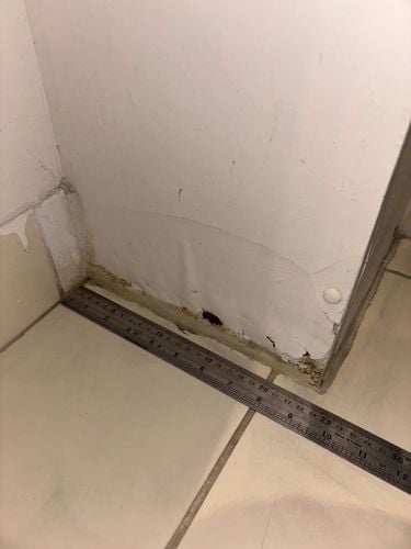 IMG_5114.jpg IMG_5114.jpg