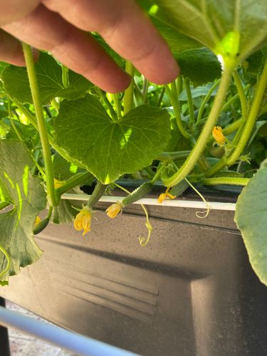 34F32C51-5AE9-45BD-85AA-099DB492DD52.jpeg 34F32C51-5AE9-45BD-85AA-099DB492DD52.jpeg