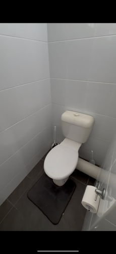 IMG_9781.png IMG_9781.png