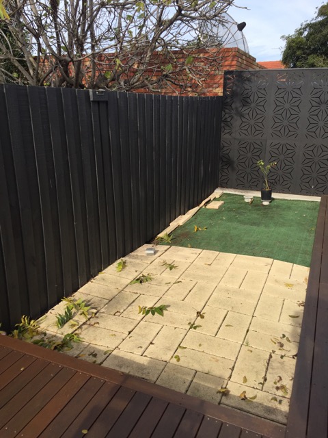 IMG_3772.jpg IMG_3772.jpg