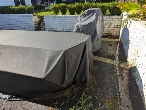 1000028113.jpg 1000028113.jpg