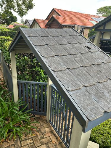 IMG_2377.jpeg IMG_2377.jpeg