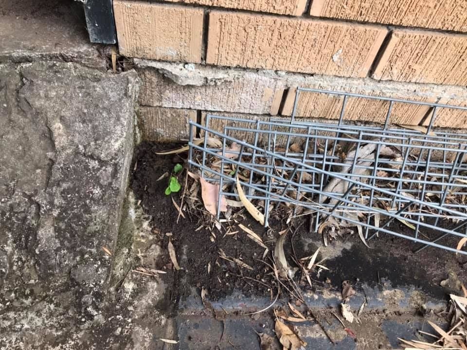 05 04-11-2020.jpg 05 04-11-2020.jpg