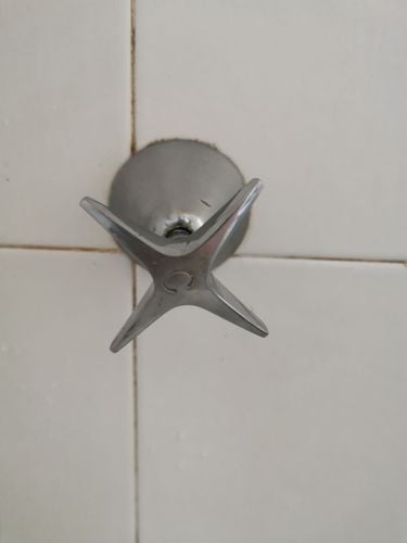 IMG_20221013_134207.jpg IMG_20221013_134207.jpg