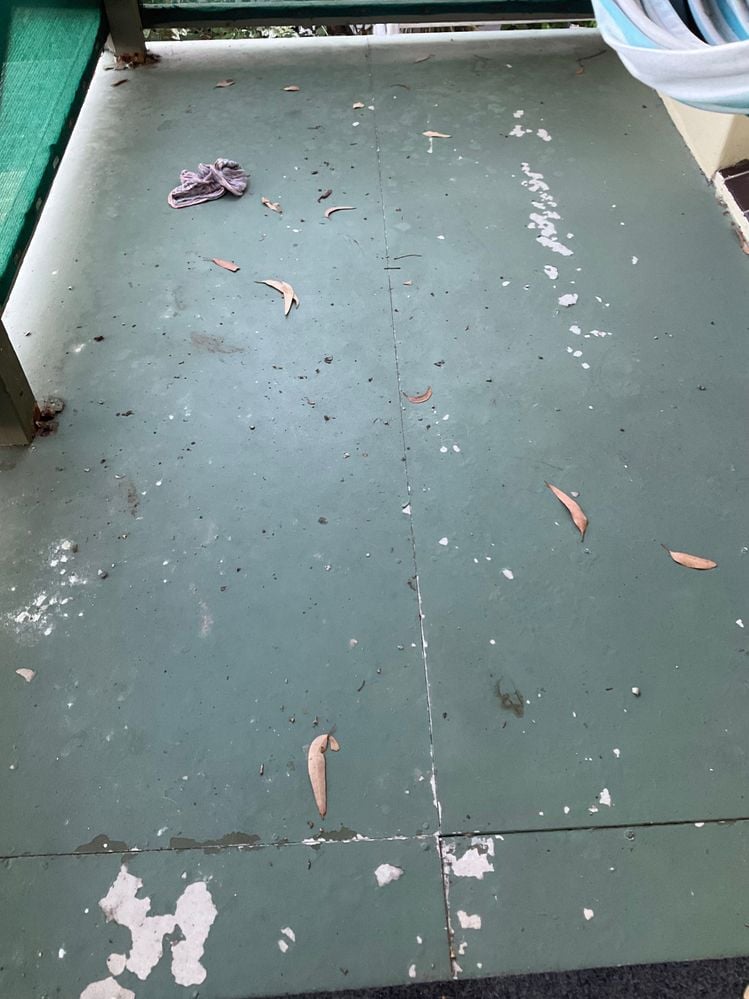 IMG_0663.jpeg IMG_0663.jpeg