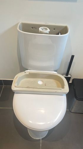 IMG_5745.jpeg IMG_5745.jpeg