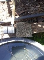 487212965_10237286970296477_9037871659690016783_n.jpg 487212965_10237286970296477_9037871659690016783_n.jpg