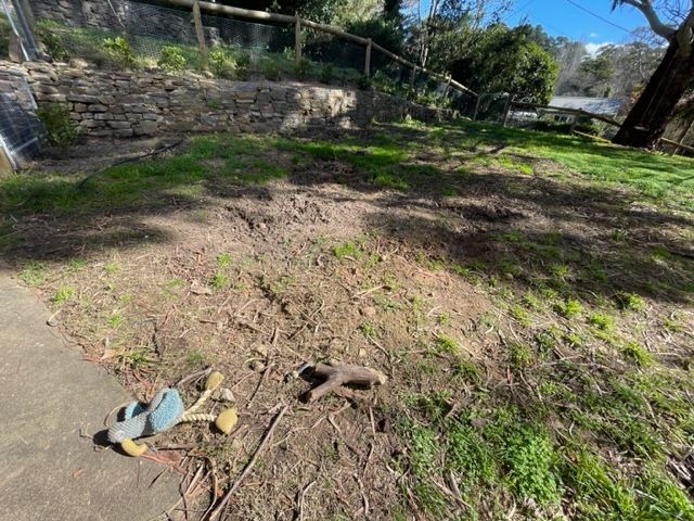 IMG_2953.jpg IMG_2953.jpg