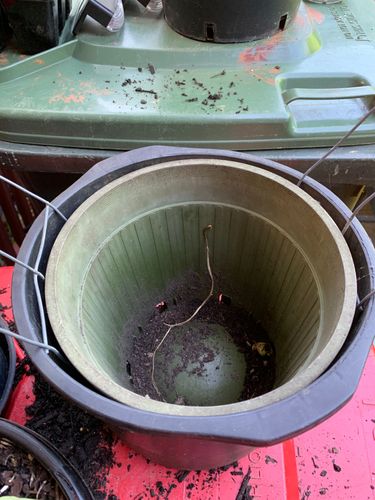 8E8C066C-6D6D-4880-B9D0-340FF3E53C75.jpeg 8E8C066C-6D6D-4880-B9D0-340FF3E53C75.jpeg