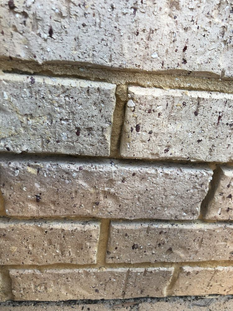 Storeroom Brickwork.jpeg Storeroom Brickwork.jpeg