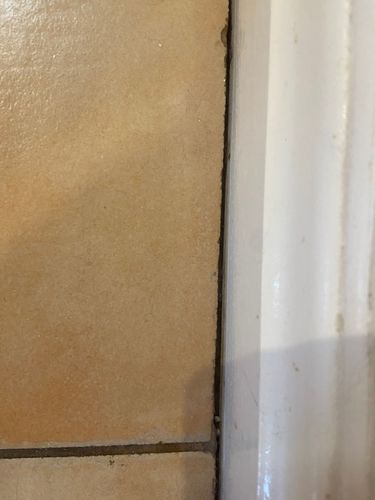 80396447-F9A0-4B5D-B2E3-36EBC70536C4.jpeg 80396447-F9A0-4B5D-B2E3-36EBC70536C4.jpeg