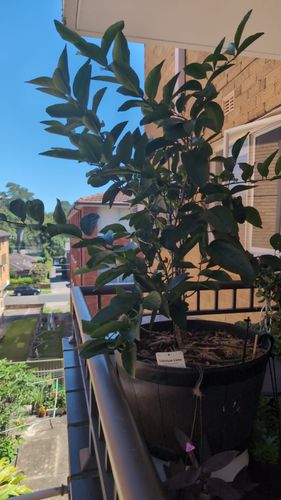 1000022969.jpg 1000022969.jpg