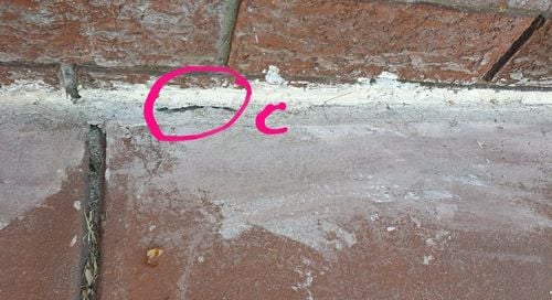 Screenshot_20221130-171051_Gallery.jpg Screenshot_20221130-171051_Gallery.jpg