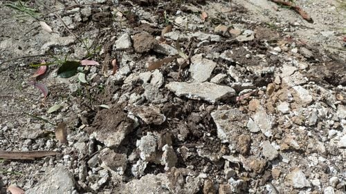 1000038174.jpg 1000038174.jpg