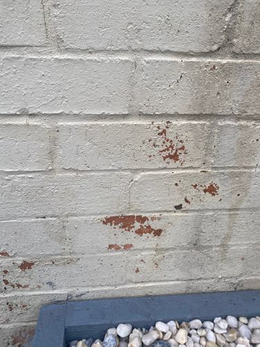 4516E699-C7FC-4963-9DFF-96900280DC79.jpeg 4516E699-C7FC-4963-9DFF-96900280DC79.jpeg