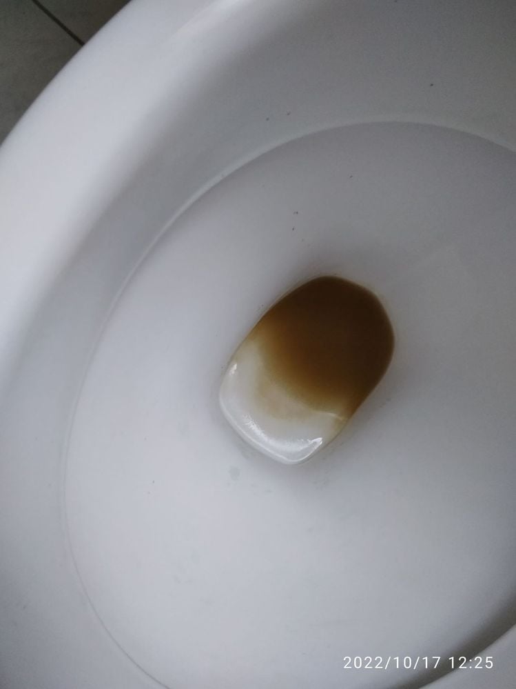 IMG_20221017_122529.jpg IMG_20221017_122529.jpg