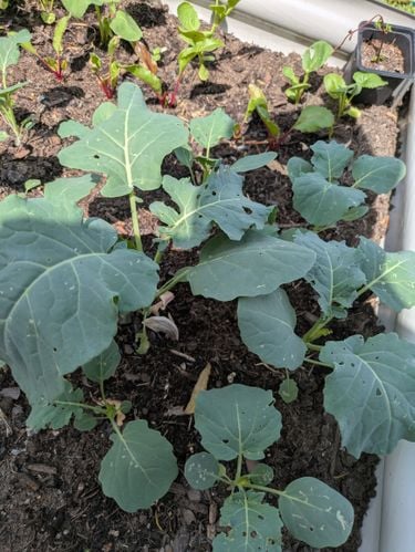 PXL_20251017_032759304.jpg PXL_20251017_032759304.jpg