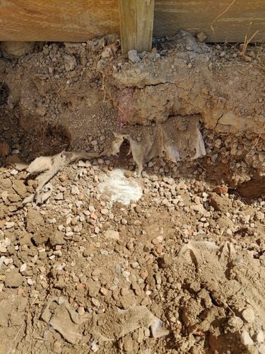 IMG_20241210_144902.jpg IMG_20241210_144902.jpg