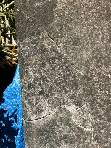 IMG_7897.jpeg IMG_7897.jpeg