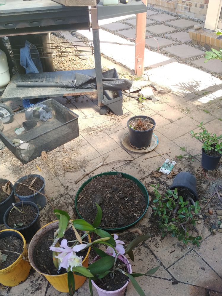 20230921_102418.jpg 20230921_102418.jpg