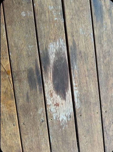 46890398-3825-4dd2-af39-c1adf7c94973.jpeg 46890398-3825-4dd2-af39-c1adf7c94973.jpeg