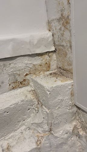 IMG_6619.jpeg IMG_6619.jpeg