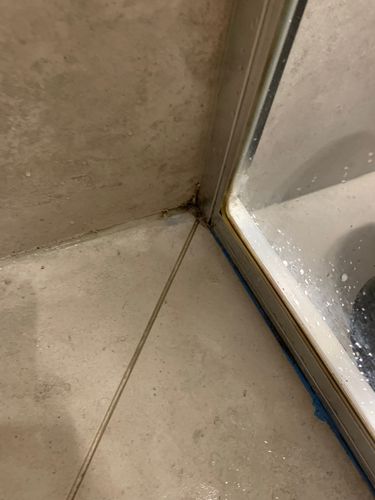 IMG_0117.jpeg IMG_0117.jpeg