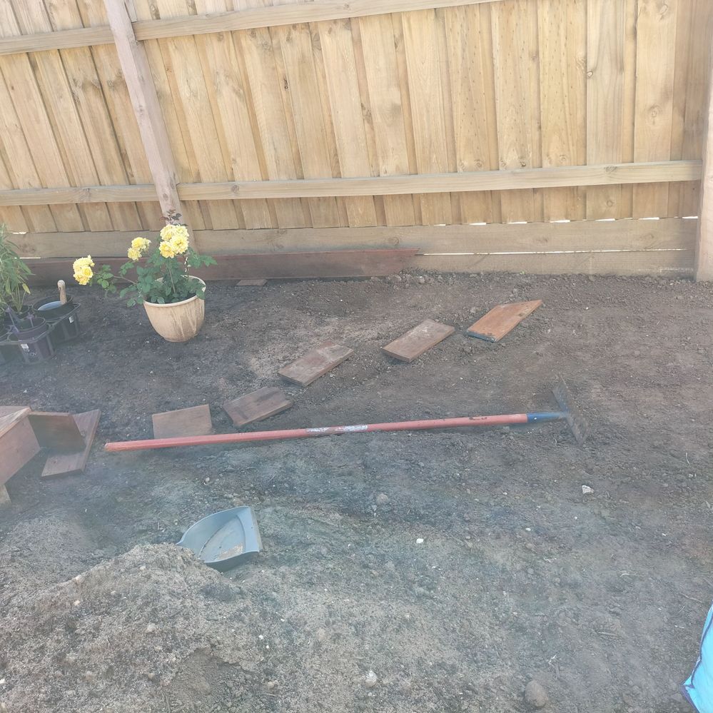 IMG20240119090209.jpg IMG20240119090209.jpg