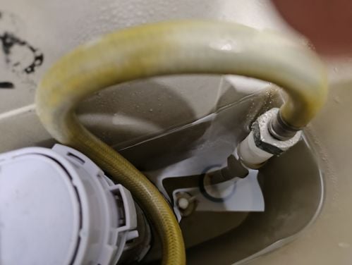 1000000443.jpg 1000000443.jpg