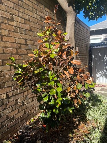 IMG_0978.jpeg IMG_0978.jpeg