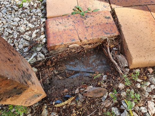 20220724_132155.jpg 20220724_132155.jpg