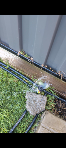 1000049860.png 1000049860.png