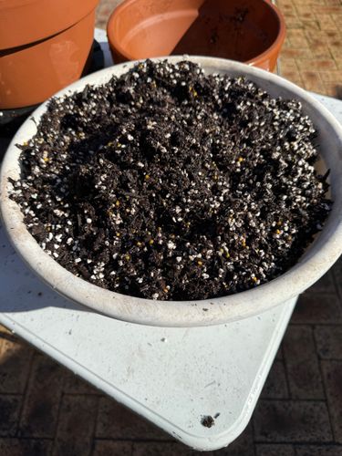 IMG_1231.jpeg IMG_1231.jpeg