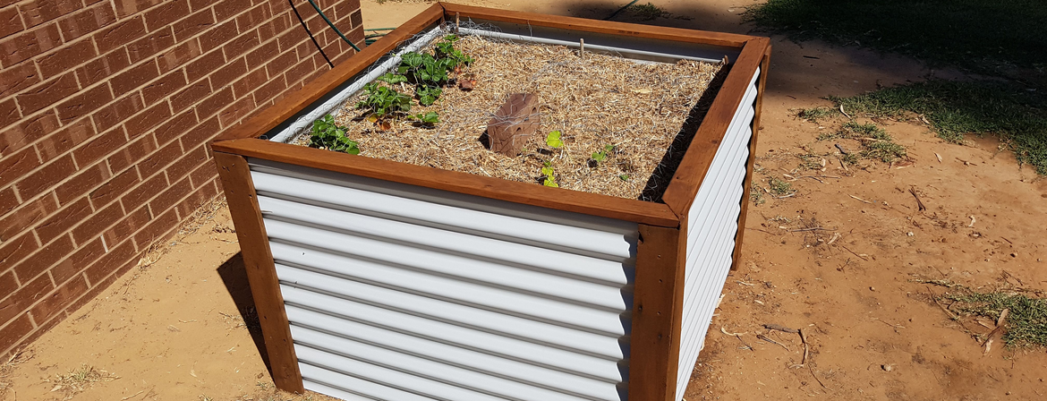 rattle.png rattle.png