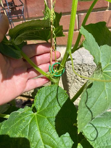 IMG_9831.jpeg IMG_9831.jpeg