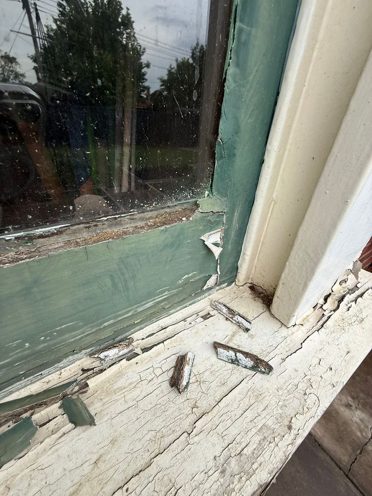 95E35E91-3235-4178-885C-92A2F71E6F5F_1_102_o.jpeg 95E35E91-3235-4178-885C-92A2F71E6F5F_1_102_o.jpeg