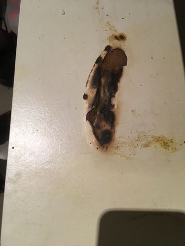 79797B72-4861-4CA9-97C9-7570D53EC25D.jpeg 79797B72-4861-4CA9-97C9-7570D53EC25D.jpeg