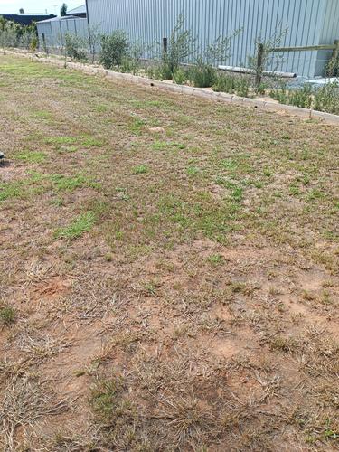 IMG_20241209_155133.jpg IMG_20241209_155133.jpg