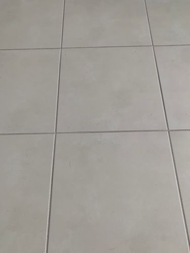 IMG_9718.jpeg IMG_9718.jpeg