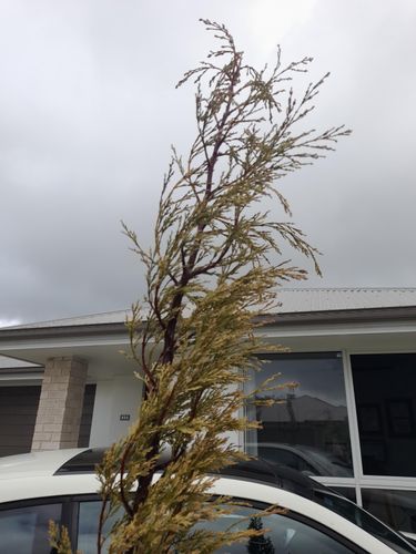 IMG_3855.jpeg IMG_3855.jpeg