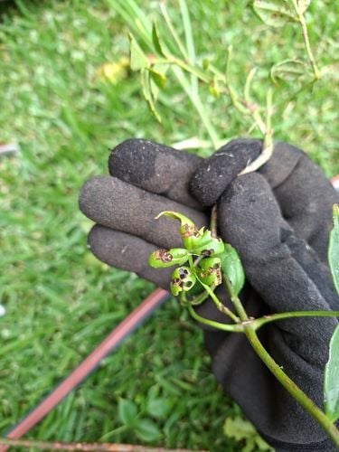 1000002863.jpg 1000002863.jpg