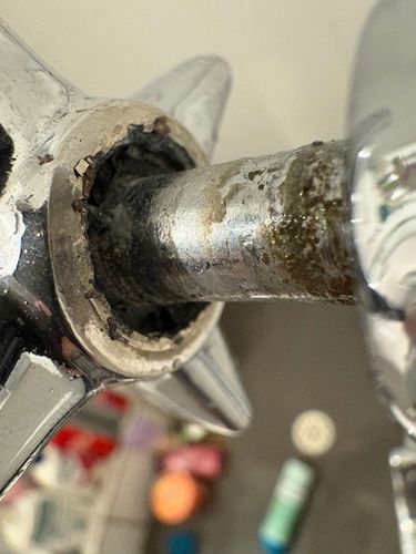 IMG_7254.jpeg IMG_7254.jpeg