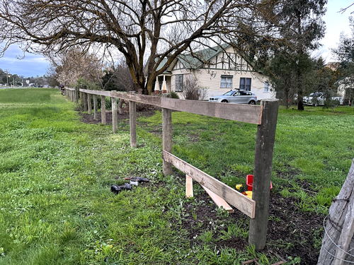 IMG_1871.png IMG_1871.png