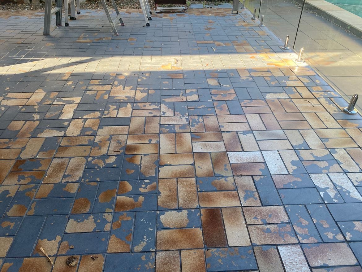 IMG_5927.jpg IMG_5927.jpg